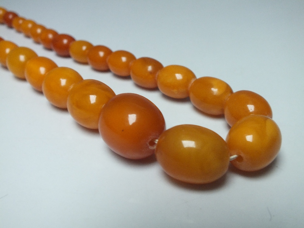 A GRADUATED SINGLE STRAND 'EGG YOLK' AMBER BEAD NECKLACE, overall L 75 cm, central bead W 2.1 cm, a - Image 3 of 6