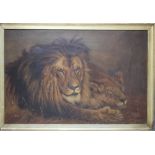 J. LEACH. an early 20th century study of a resting lion, and lioness, signed and indistinctly date