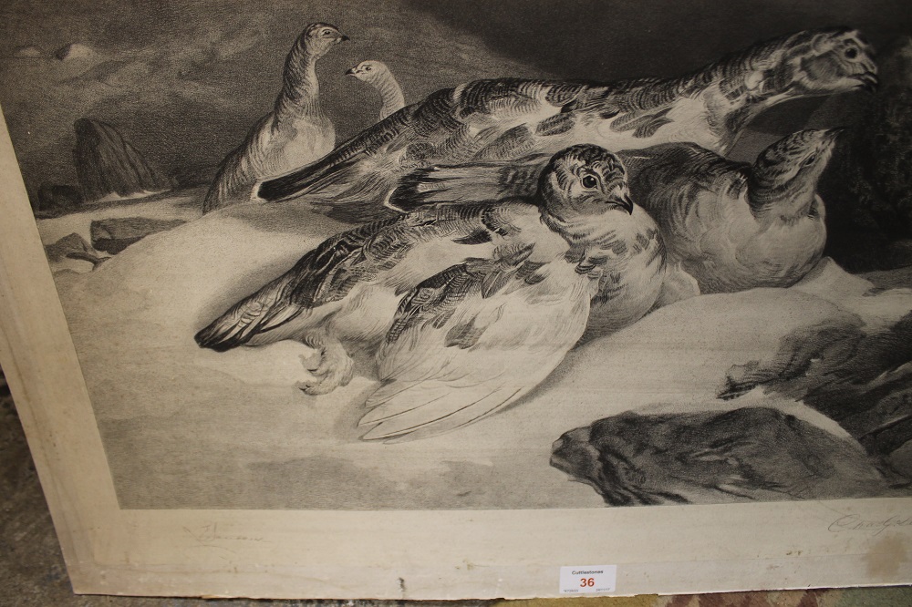 J.S .LANDSEER & CHARLES GEORGE LEWIS (1808 - 1880). Study of ptarmigan in a snowy mountainous land - Image 8 of 9