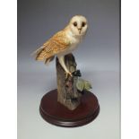 A BORDER FINE ARTS BARN OWL ON PLINTH, RB15