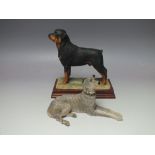 A BORDER FINE ARTS ROTTWEILER ON PLINTH, together with a Grey Lurcher DG35A (2)