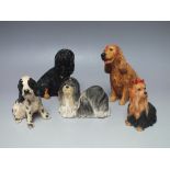 A COLLECTION OF BORDER FINE ARTS DOG FIGURES, comprising King Charles Cavalier DG36C, Cocker Spanie