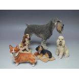 A COLLECTION OF BORDER FINE ARTS DOG FIGURES, comprising Poodle, King Charles Cavalier, King George