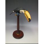 A BORDER FINE ARTS TOUCAN ON STAND BY RICHARD ROBERTS, limited edition number 66 of 950