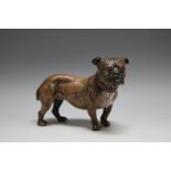 A VIENNA COLD PAINTED BRONZE FIGURE OF A BULL TERRIER, stamped Geschutzt to the base, W 11 cm