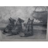 MAUD EARL (1864 - 1943). Study of three black scotties before a cauldron 'Pot Boilers', pencil low