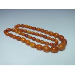 A SINGLE STRAND OF VINTAGE GRADUATED BUTTERSCOTCH AMBER BEADS, with damages, approsimate weight 54.