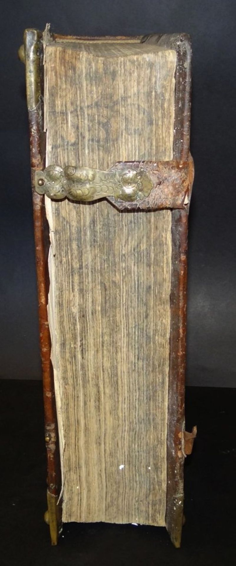 Martin Luther "Biblia-oder die ganze hl. Schrift" Tübingen 1729, Gebrauchsspuren, Einband der Zeit - Bild 3 aus 10