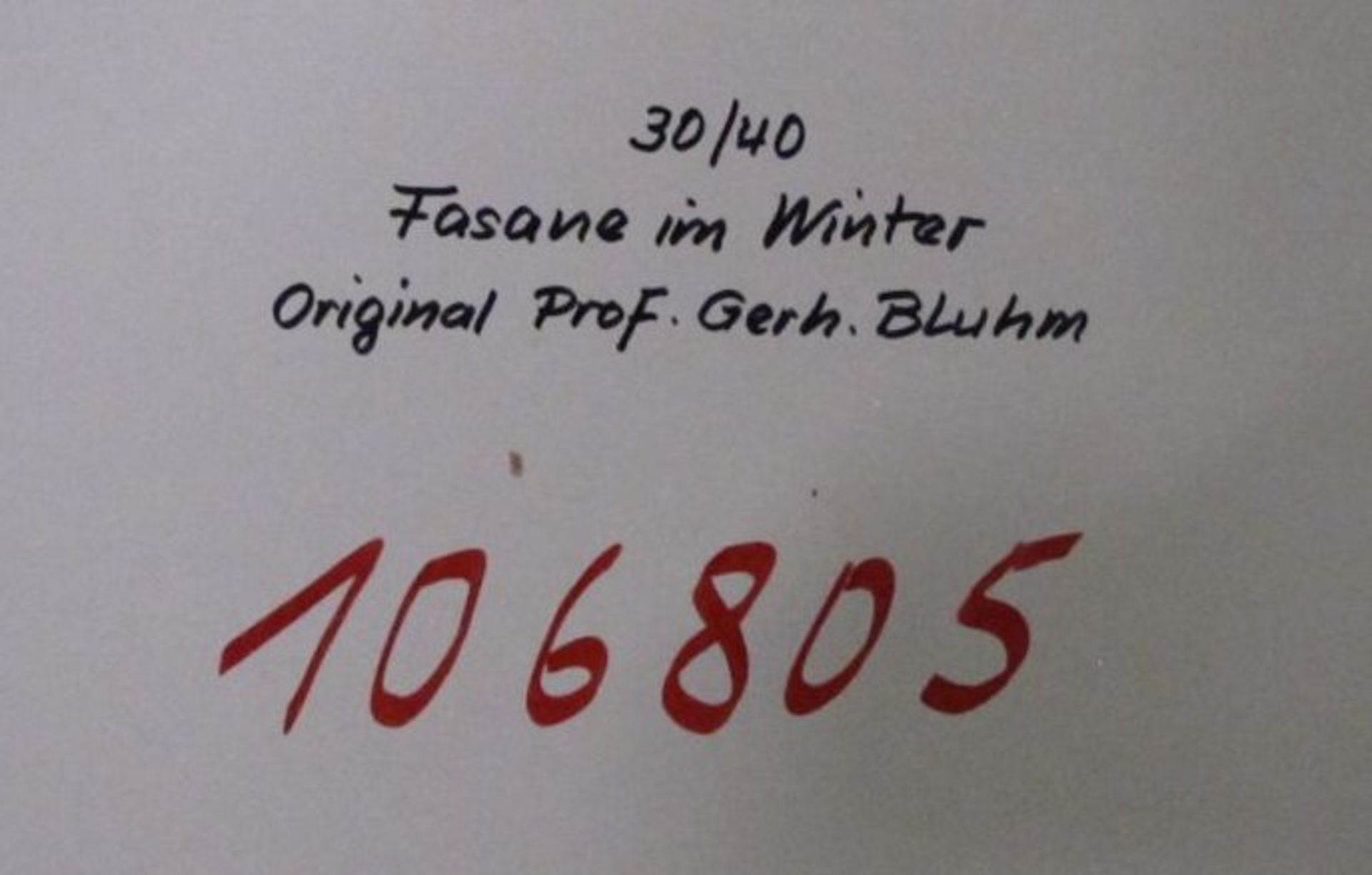 Gerhard BLUHM (XX) "Fasane im Winter", Öl/Holz, gerahmt, RG 41,5 x 51,5cm. - Bild 3 aus 4