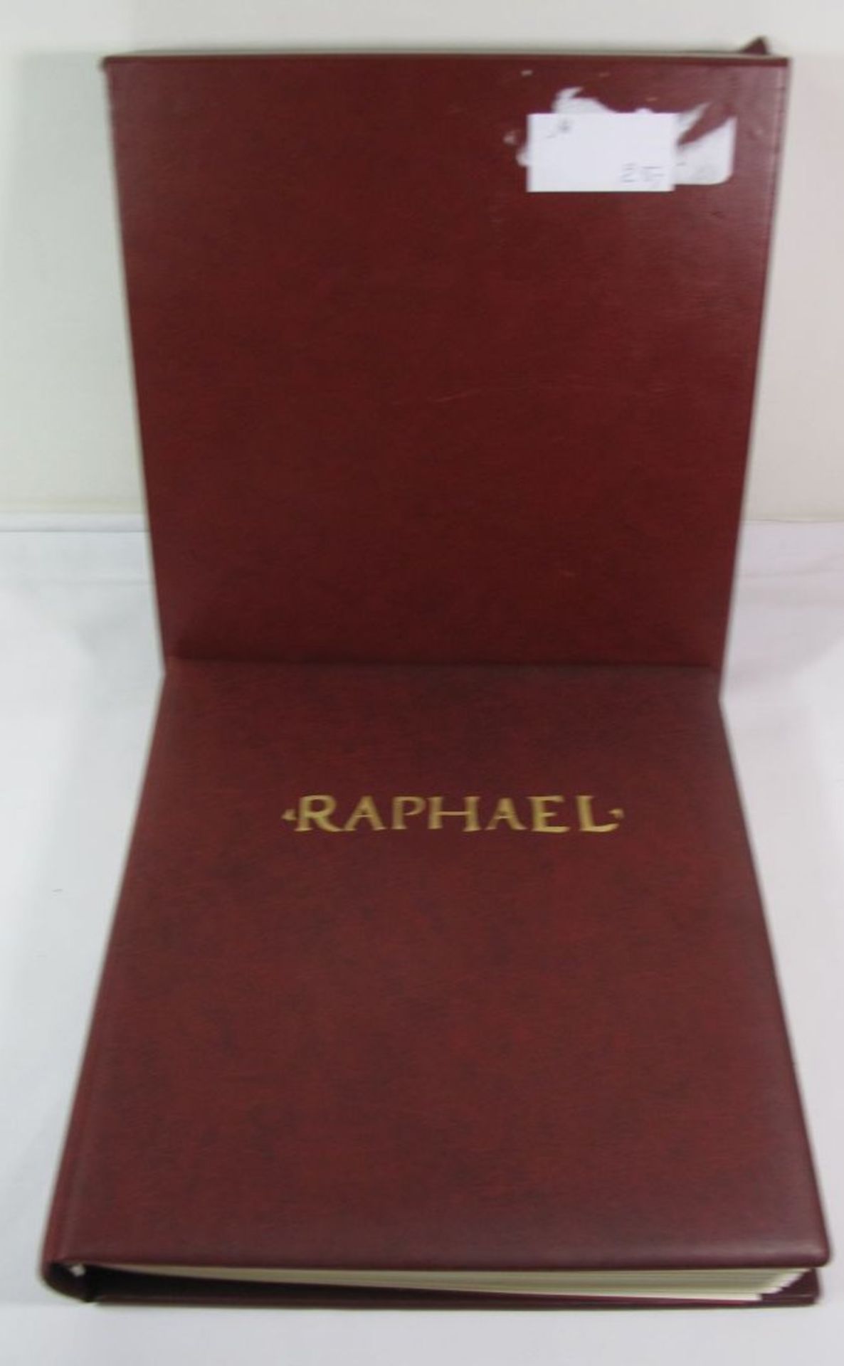 Album "Raphael".