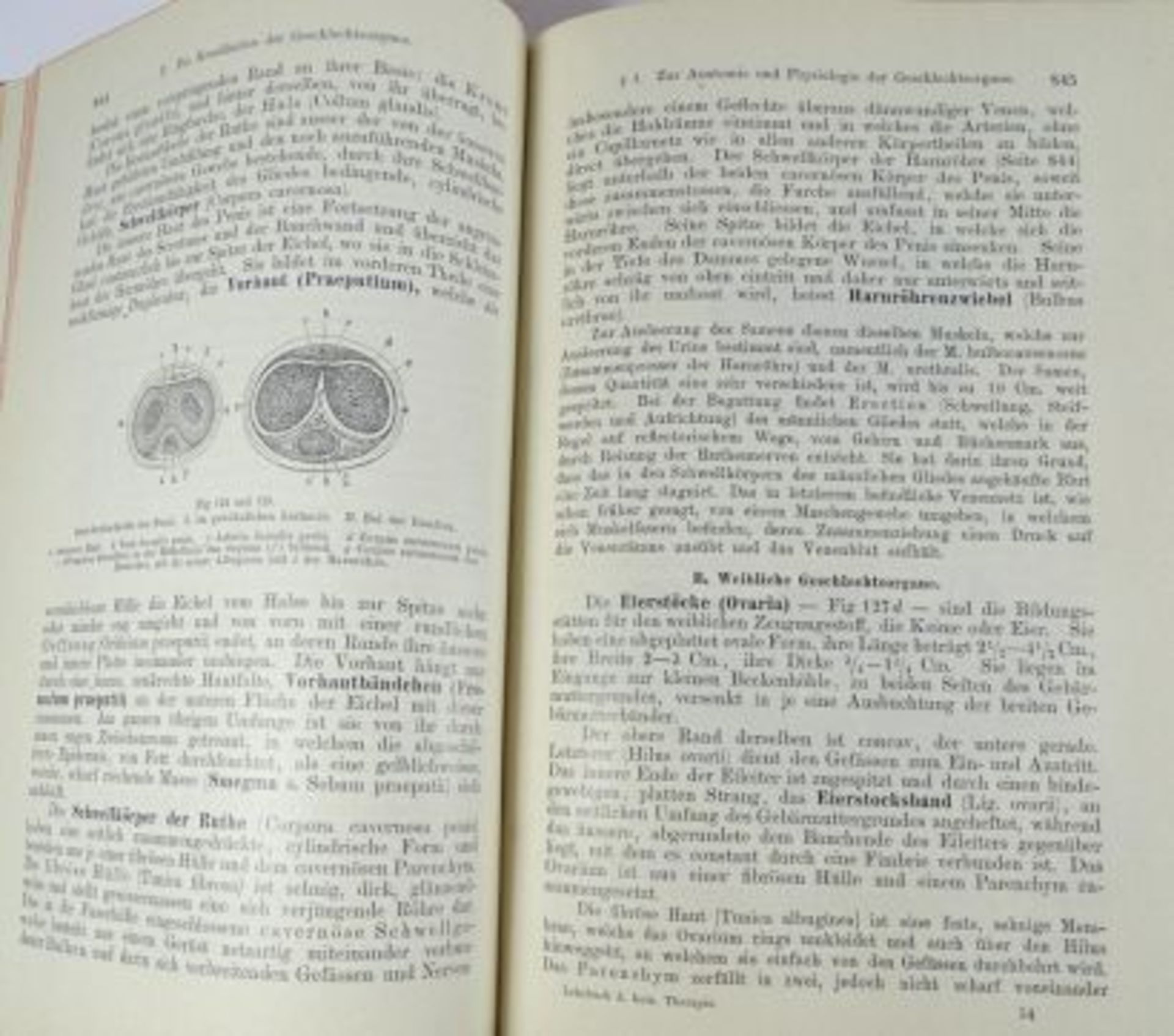 "Lehrbuch der homöopathischen Therapie" 1906, Band I - Bild 5 aus 5