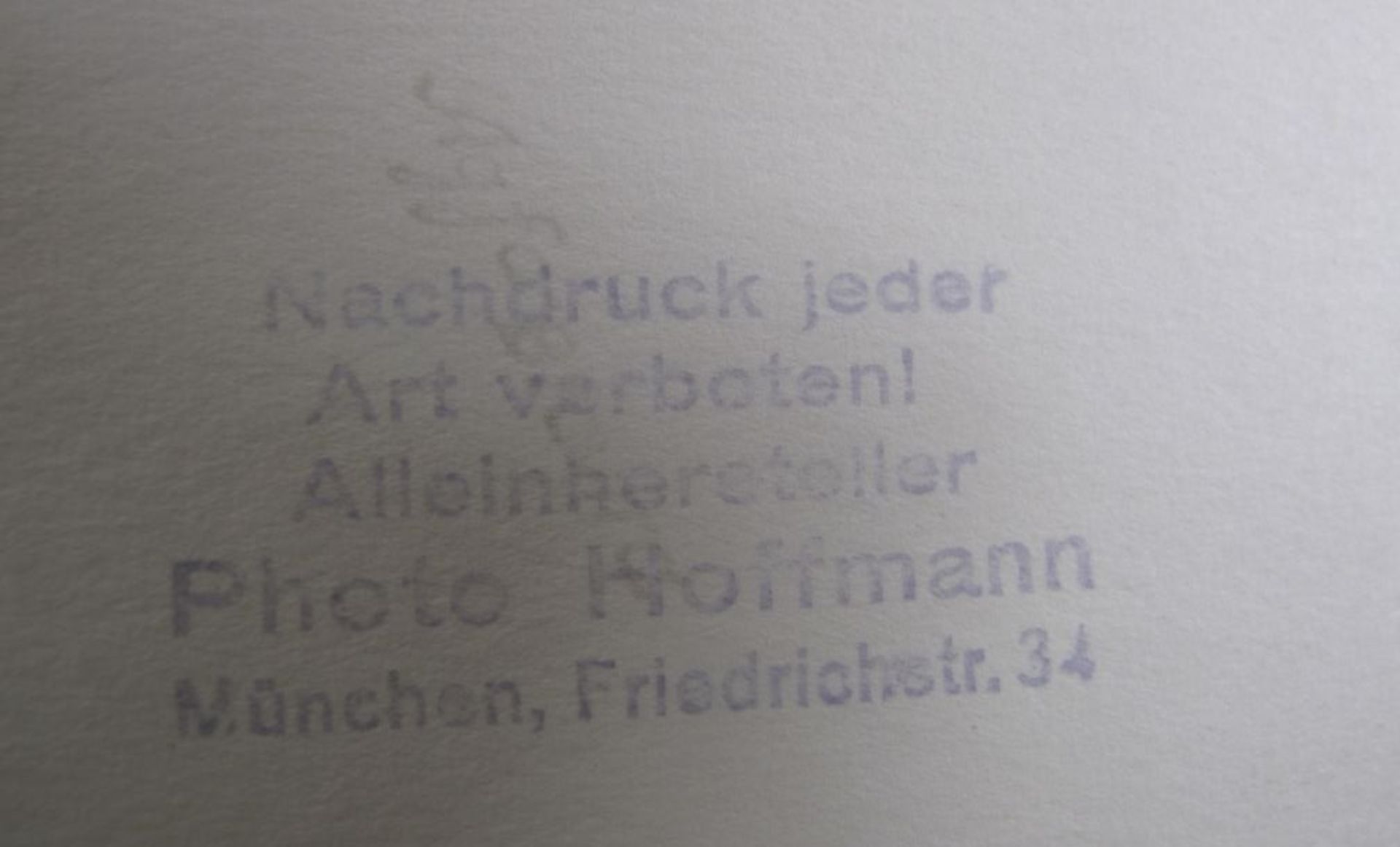 4x Fotografien sowie 2x Drucke "Adolf Hitler", verso Stempel "Photo Hoffmann, München", Größte 30 - Bild 2 aus 3