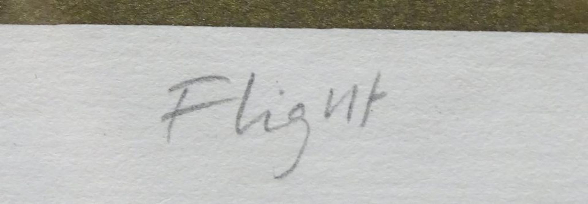 Lithografie,Bildprägung, 125/300, "Flight", signiert,Cunningham,RG 40x30c - Bild 6 aus 7