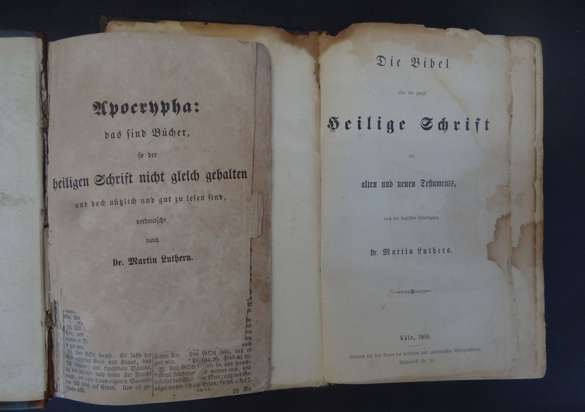 M. Luther "Apocrypha" und Bibel, Mitte 19.Jhd., Gebrauchsspuren, - Bild 2 aus 6