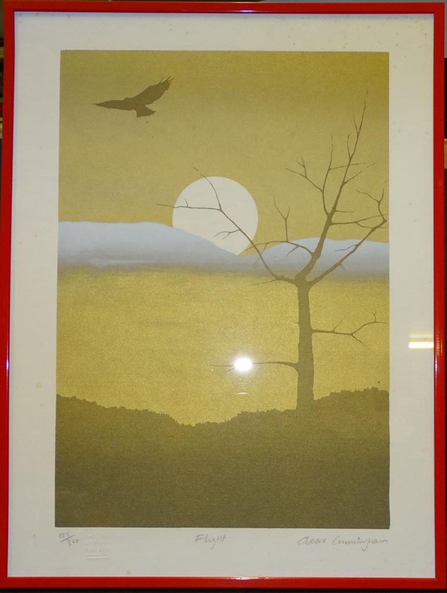 Lithografie,Bildprägung, 125/300, "Flight", signiert,Cunningham,RG 40x30c - Bild 3 aus 7