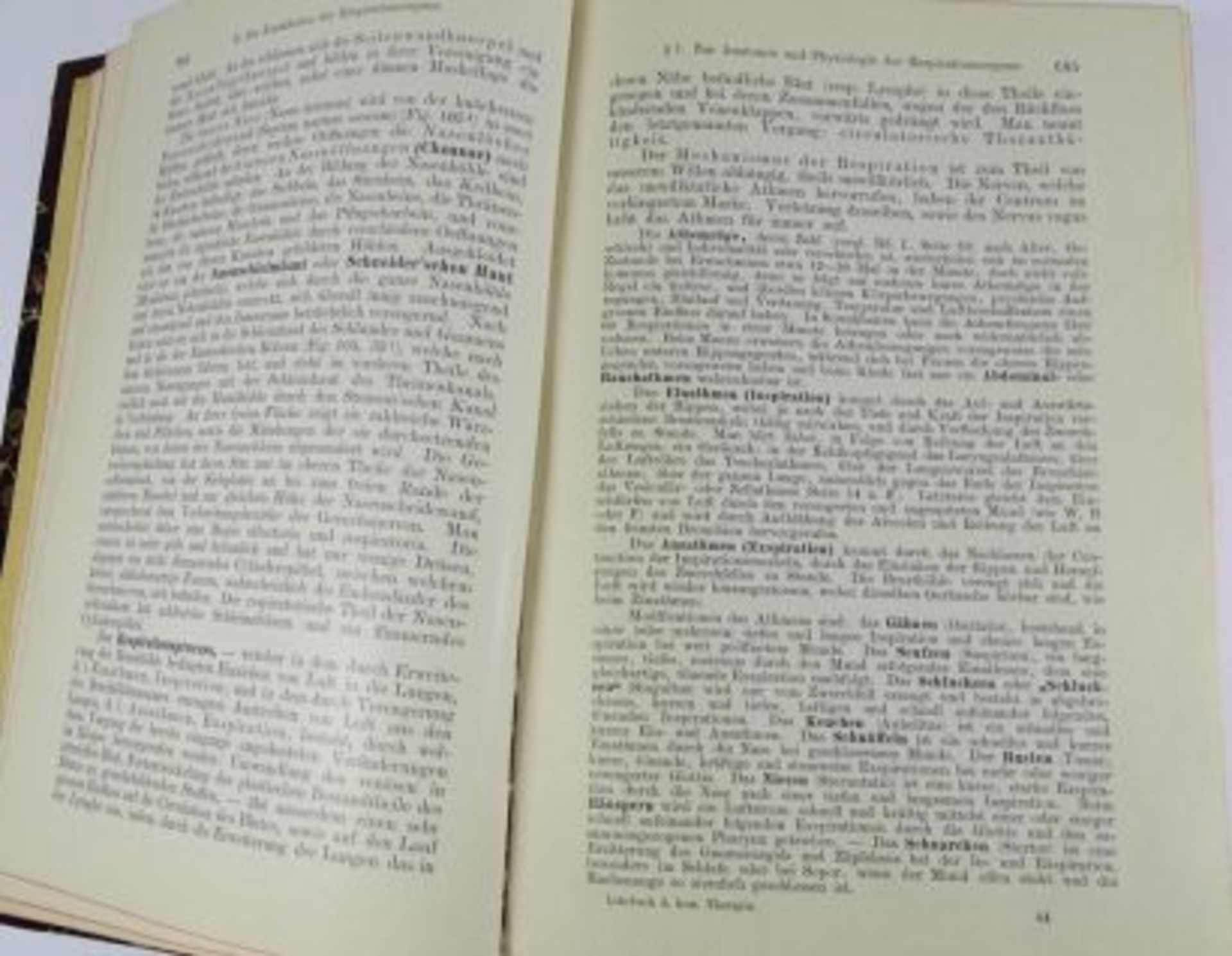 "Lehrbuch der homöopathischen Therapie" 1906, Band I - Bild 3 aus 5