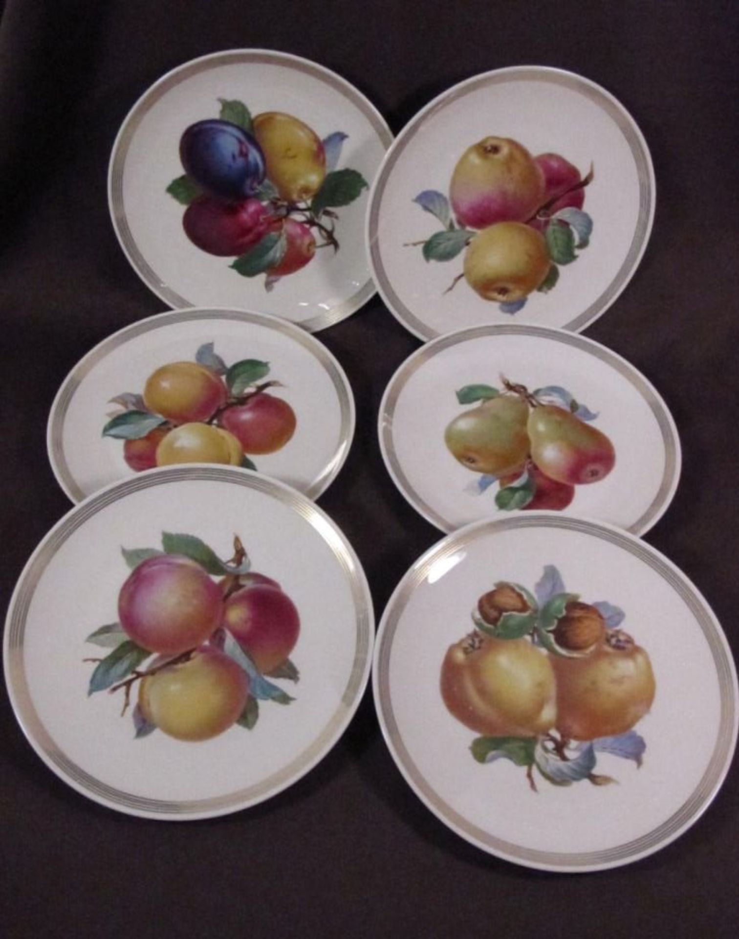 6x Teller mit Früchtedekoren, Rosenthal, älter, D-19,5cm