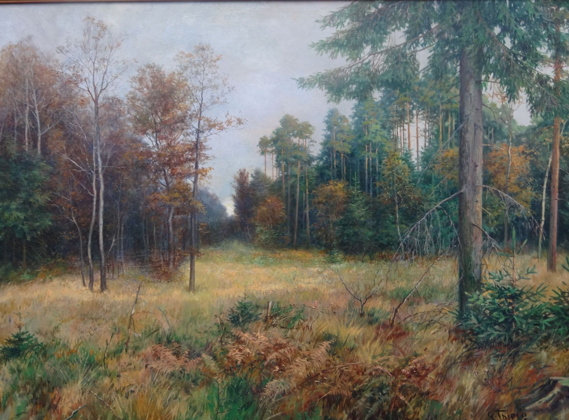 Gustav THIELE (1877-1968) "Waldlichtung", Öl/Leinen, gerahmt, Bremerhavener Künstler, s. Thiele's - Bild 2 aus 4