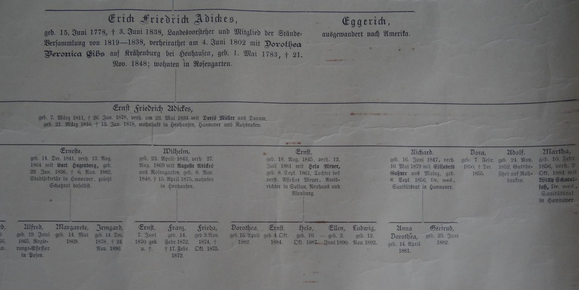 Papier-Rolle "Stammbaum der Familie Adickes und ihrer Seitenlinien" ab. ca. 1670 bis ca. 1918, - Bild 5 aus 8