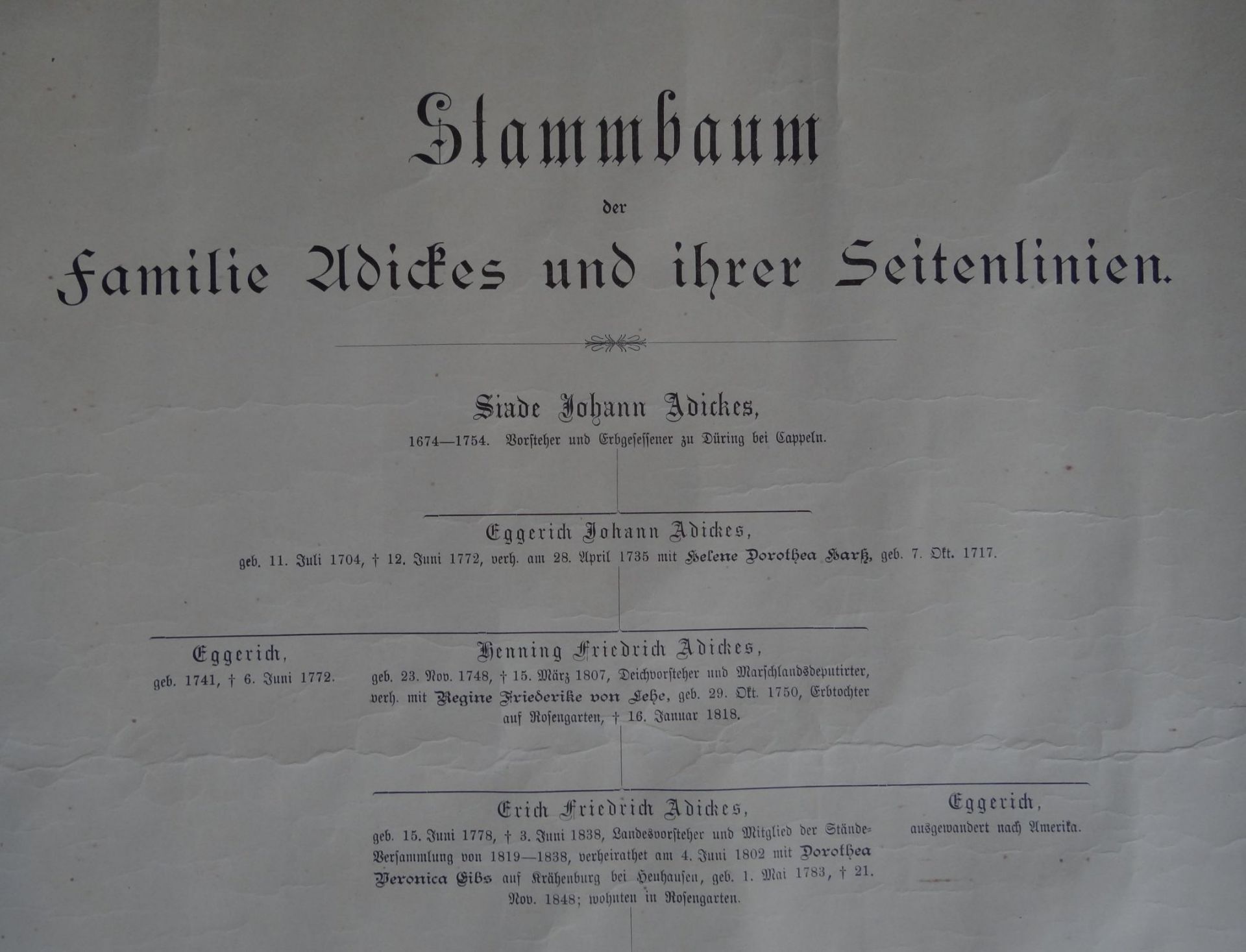 Papier-Rolle "Stammbaum der Familie Adickes und ihrer Seitenlinien" ab. ca. 1670 bis ca. 1918, - Bild 2 aus 8