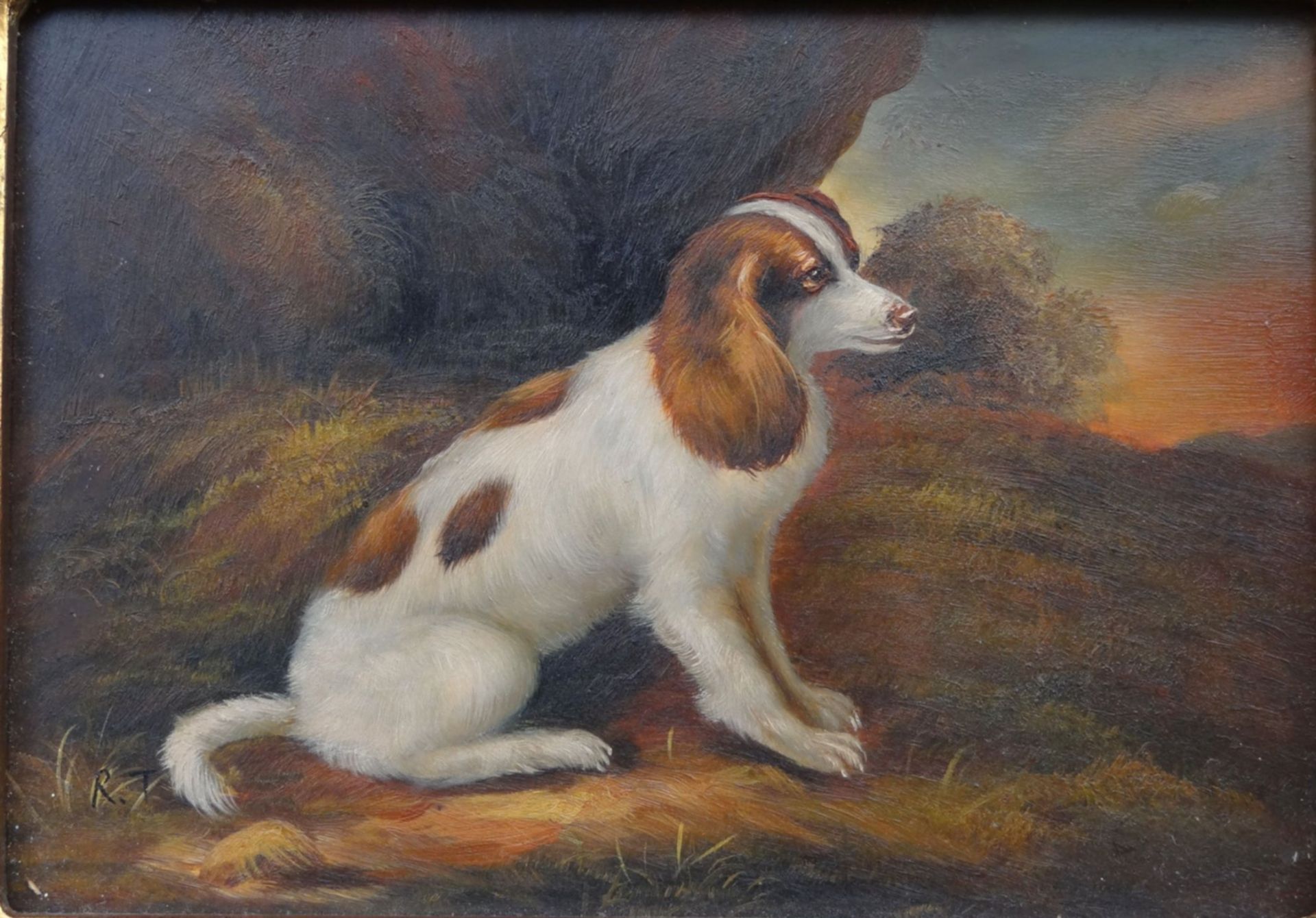 R.T. "Beagle Portrait" Öl/Holz, breit gerahmt, RG 32x37,5 c - Bild 2 aus 5