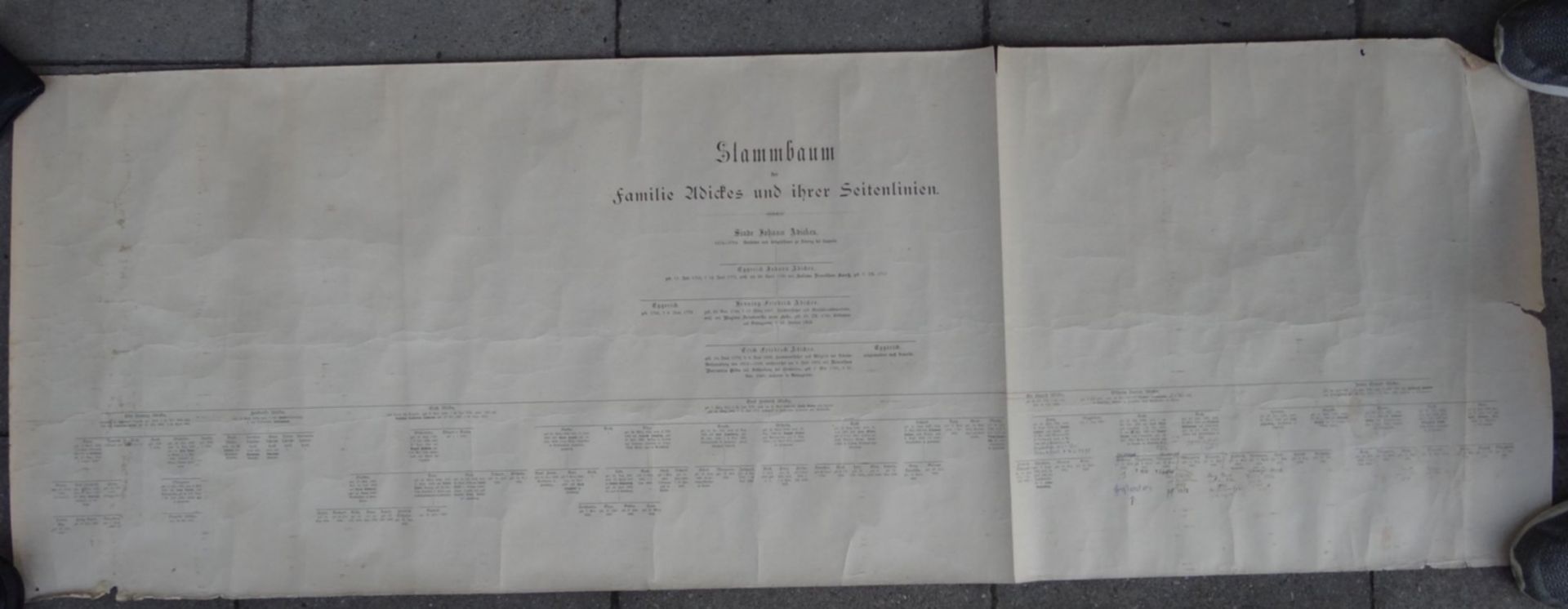 Papier-Rolle "Stammbaum der Familie Adickes und ihrer Seitenlinien" ab. ca. 1670 bis ca. 1918,