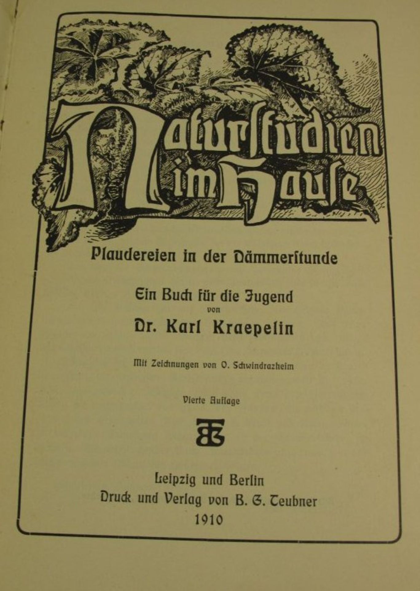 Naturstudien im Hause - Ein Buch für die Jugend, Karl Kraepelin, 1910, Alters-u. Gebrauchsspuren. - Bild 2 aus 2