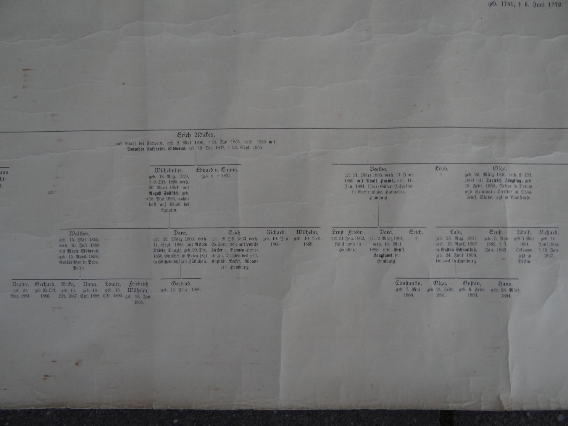 Papier-Rolle "Stammbaum der Familie Adickes und ihrer Seitenlinien" ab. ca. 1670 bis ca. 1918, - Bild 4 aus 8