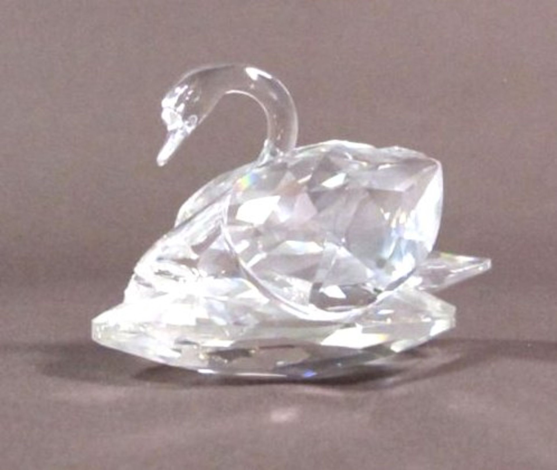 Schwan, Swarovski, H-6cm, bestossen.