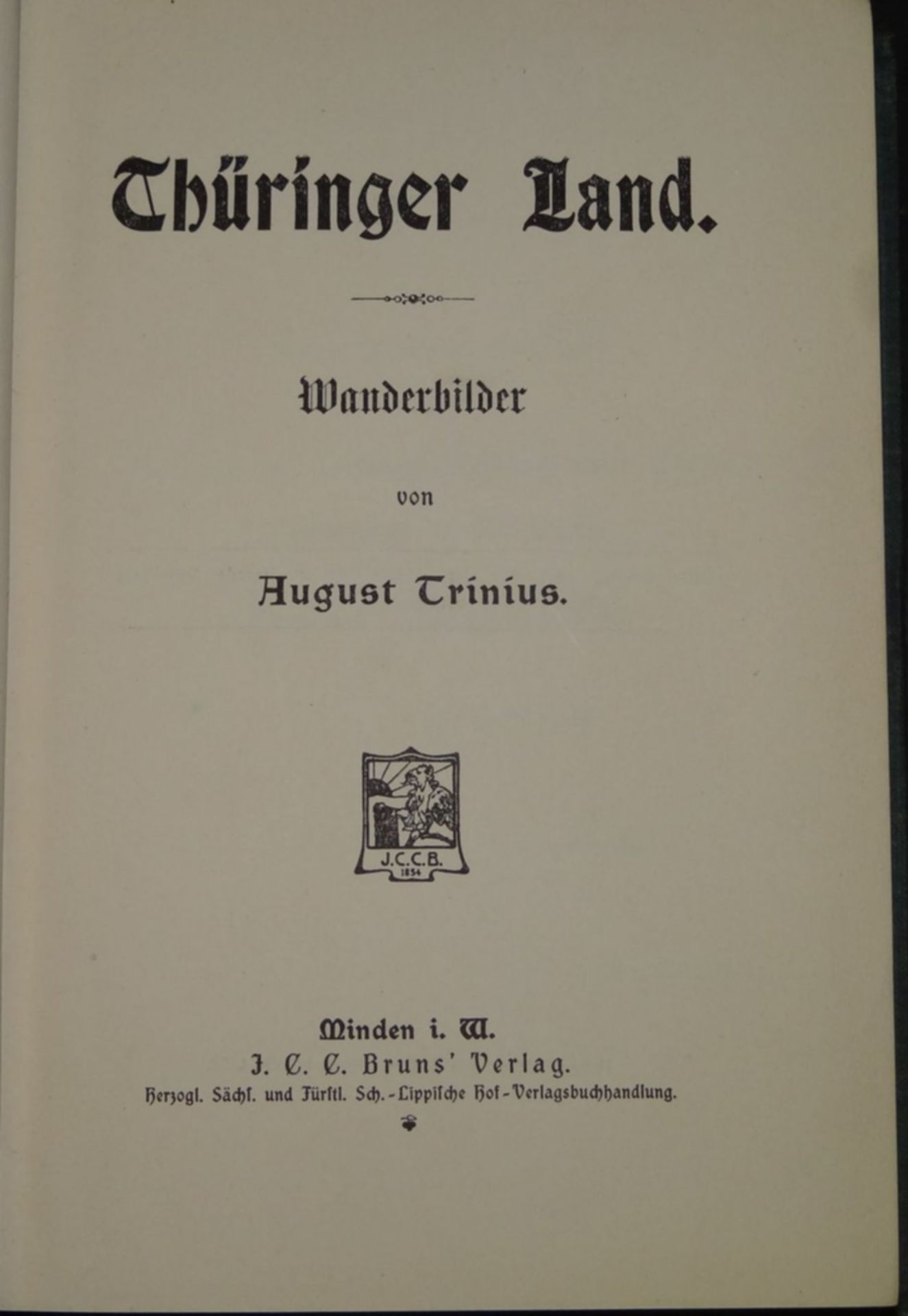 A.Trinius "Thüringer Land-Wanderbilder" um 1910, gut erhalte - Bild 2 aus 4