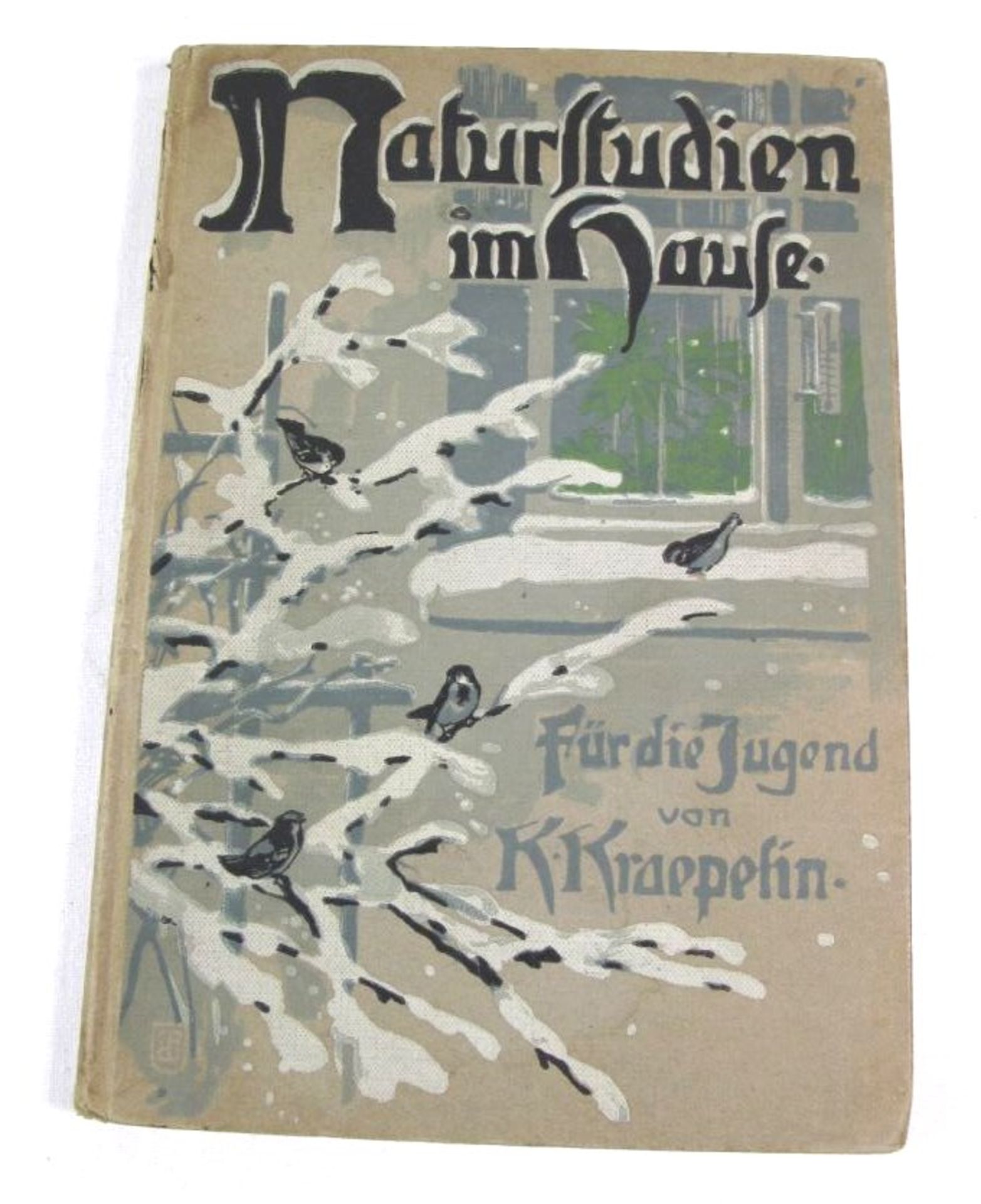 Naturstudien im Hause - Ein Buch für die Jugend, Karl Kraepelin, 1910, Alters-u. Gebrauchsspuren.