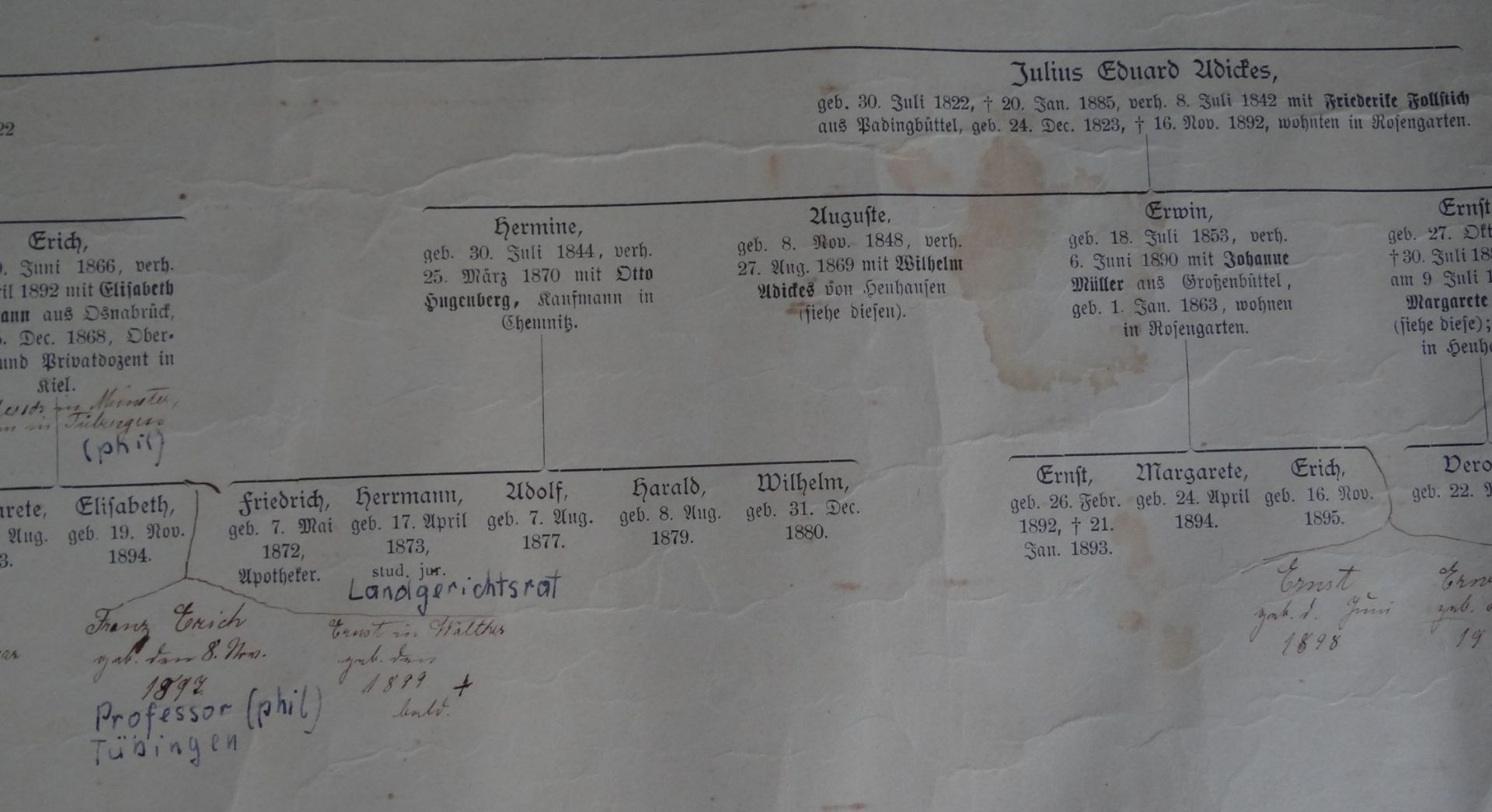 Papier-Rolle "Stammbaum der Familie Adickes und ihrer Seitenlinien" ab. ca. 1670 bis ca. 1918, - Bild 7 aus 8