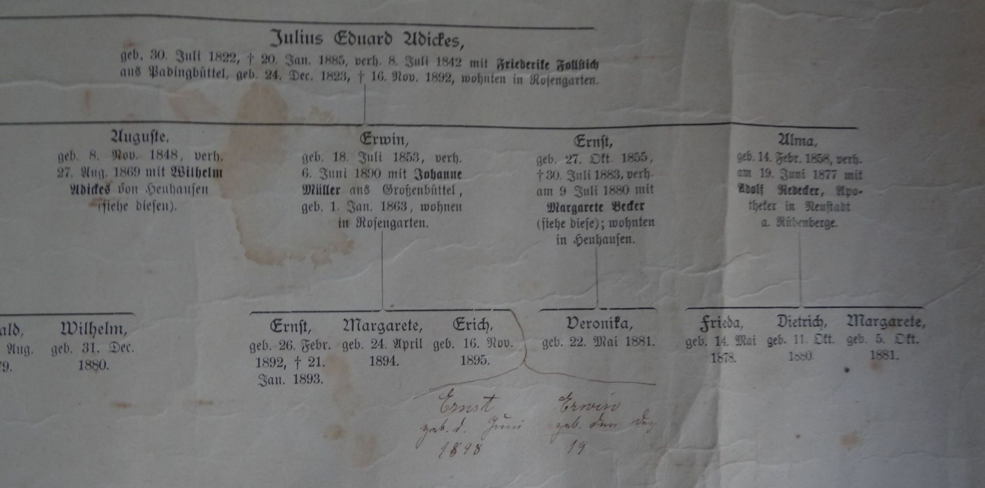 Papier-Rolle "Stammbaum der Familie Adickes und ihrer Seitenlinien" ab. ca. 1670 bis ca. 1918, - Bild 8 aus 8