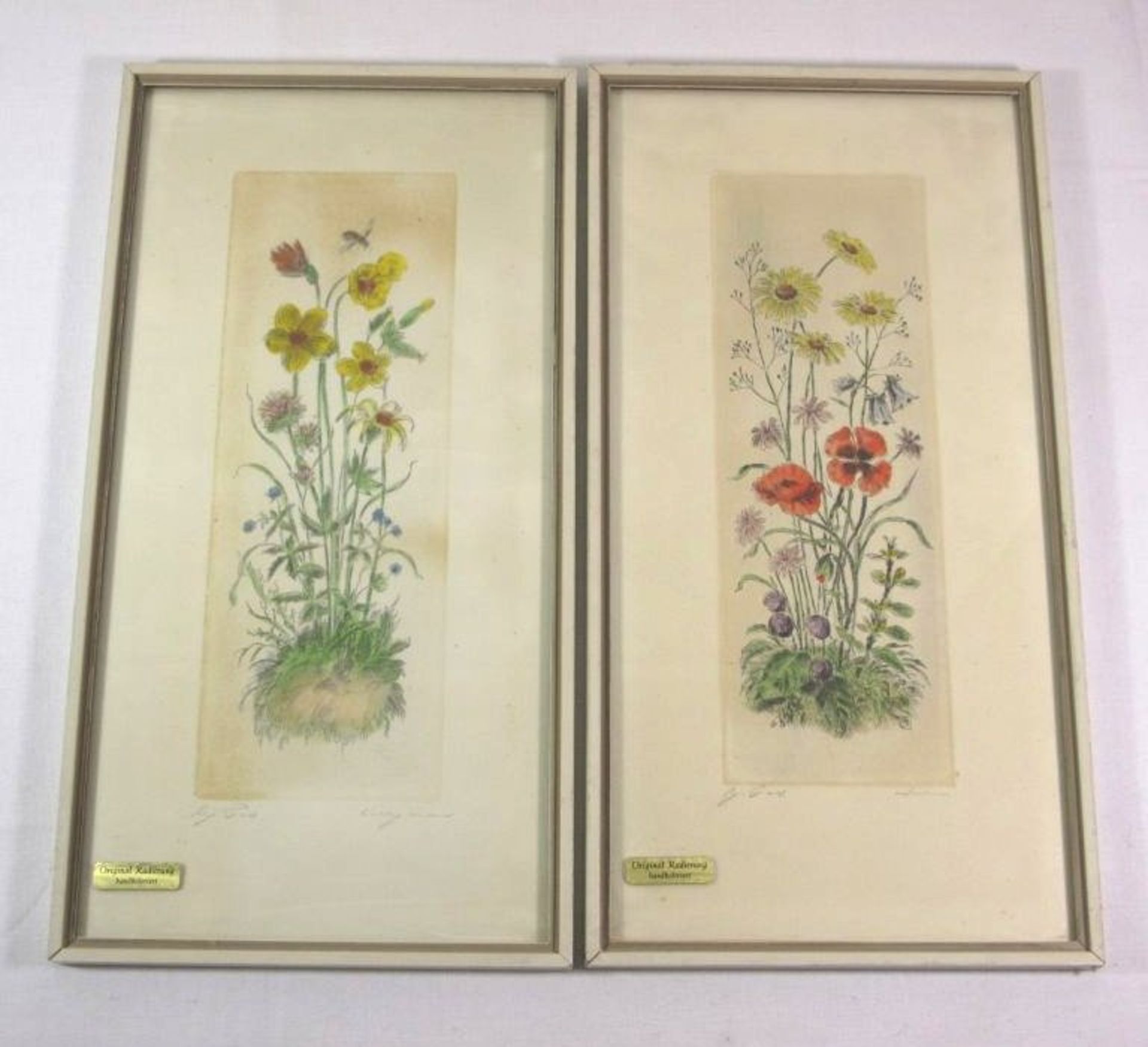 2x div. Blumenradierungen, coloriert, je gerahmt/Glas, RG 37 x 19cm.