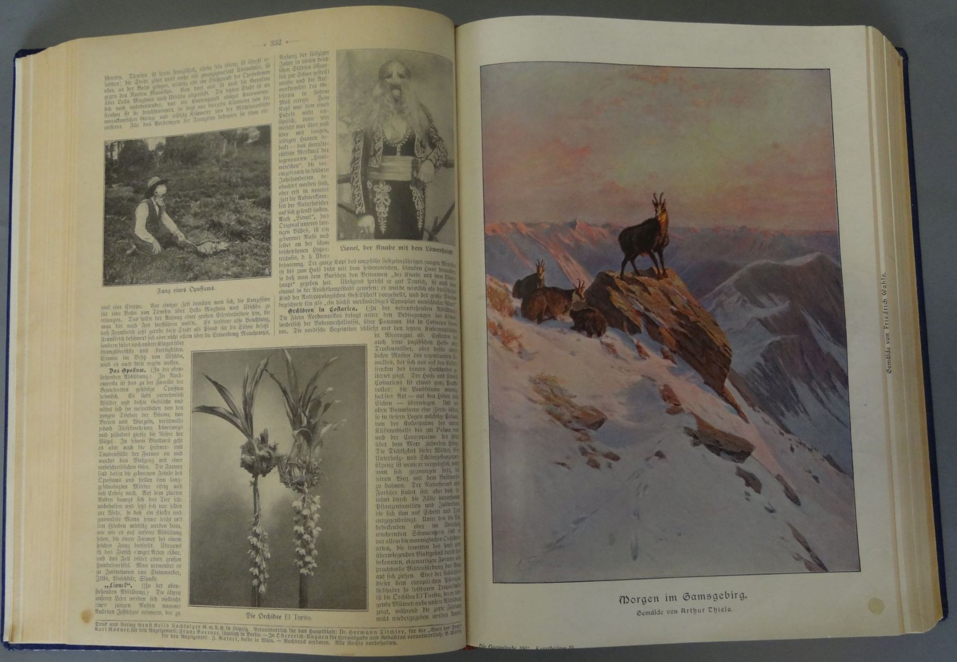"Die Gartenlaube" Jahrgang 1907, gebunden, Vorsatzseite mit Widmung - Bild 6 aus 10