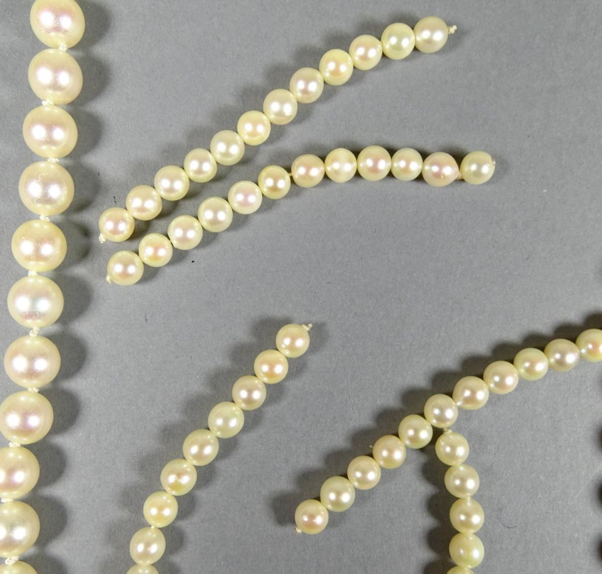 10x Akoya Perlen Halsketten+Stränge,zus.230gr - Bild 3 aus 3