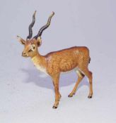 Bergmann, Franz Xaver Bronzegiesserei in Wien (1861-1936): Stehende Antilope, Wiener Bronze, Anf.