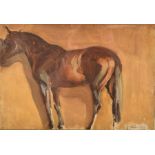 Attributed to Thomas Patrick Keating (1917-1984) British a pair of paintings of horses in the manner