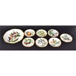 A collection of Continental tin glazed ceramics 7 small plates and one larger. All decorated with