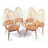 A set of six light Ercol dining chairs in the Quaker model, light in colour, each with elm seats and