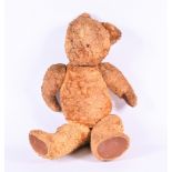 An early 20th century mohair growling bear with articulated arms and legs golden in colour, with