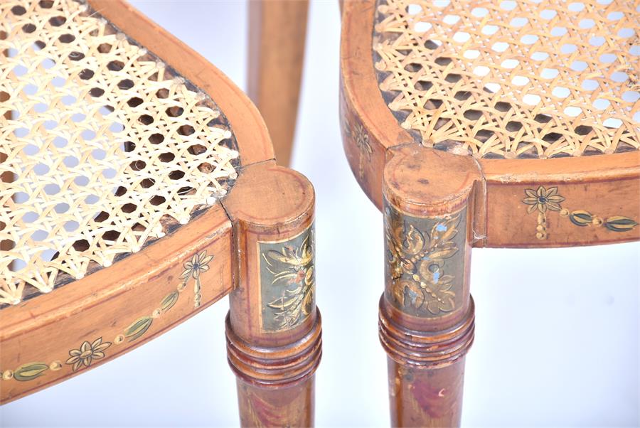 A set of four 19th century Sheraton Revival satinwood chairs each with cane seats and finely painted - Image 10 of 14