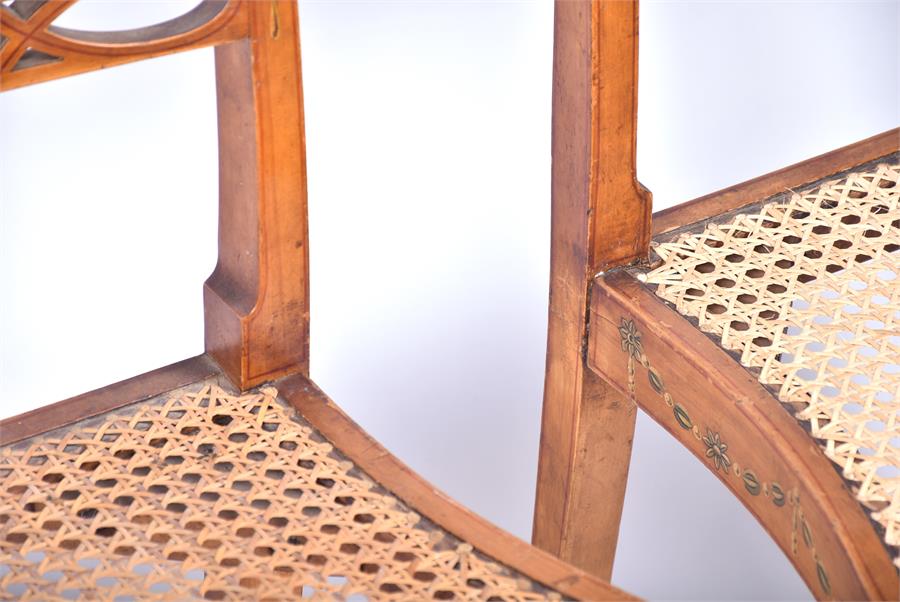 A set of four 19th century Sheraton Revival satinwood chairs each with cane seats and finely painted - Image 12 of 14