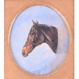 A Victorian watercolour portrait of a horse Gypsey, a chestnut brown presented in side profile on