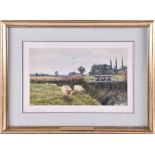 Arthur Anderson Fraser (1861-1904) British sheep graze beside a river, watercolour, signed to