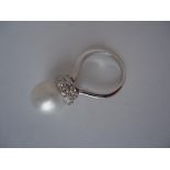 Diamond And Freshwater Freshwater Pearl 14K White Gold Ring