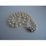 Flower Diamond And Freshwater Pearl Necklace