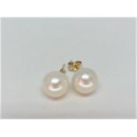 Gold freshwater pearl studs 2x 9mm fresh waterpearls 14k yellow gold