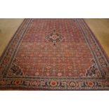 Carpet, Kashan 360 x 260 cm. Tapijt, Kashan 360 x 260 cm.