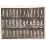 Naar Edward Muybridge Human motion druk, 30 x 40 cm.